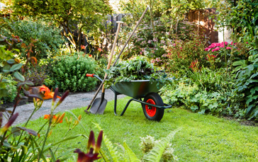 Gartenpflege