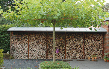 Holz im Garten